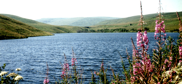 Le lac de la Terrisse (Vèze)