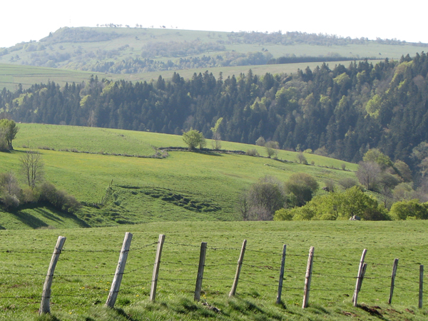Exemple d’un bail rural des années 1930 (Charmensac)