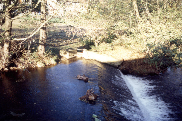 Retenir l’eau pour sa force