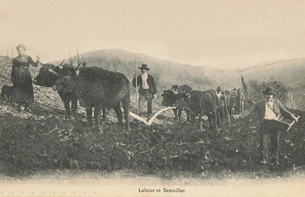 Observations d’un paysan de Fraissinet (Auriac-l’Eglise)