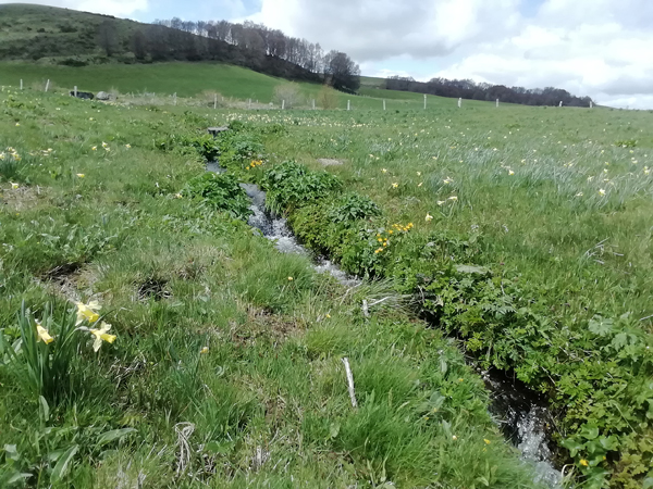 Diriger l’eau pour l’irrigation